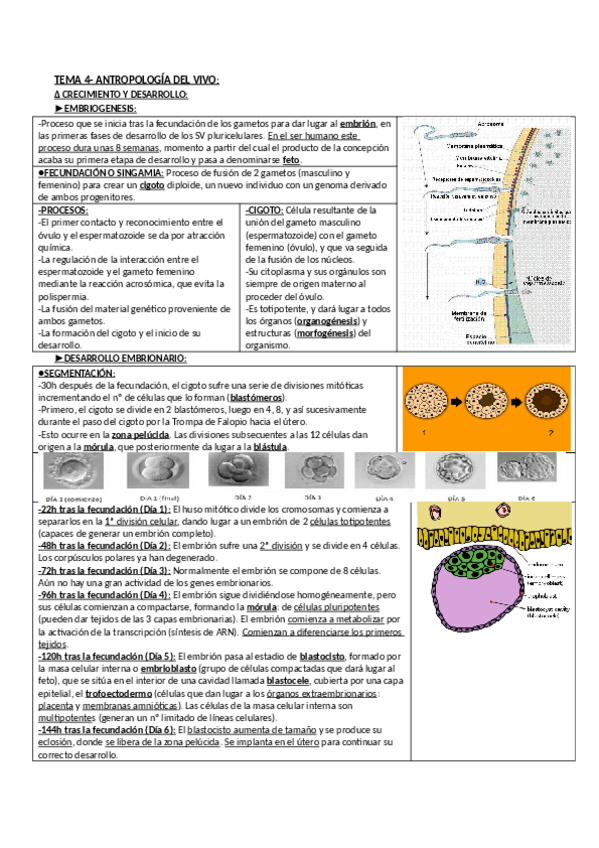 Miniatura del documento ANTROP_4.pdf