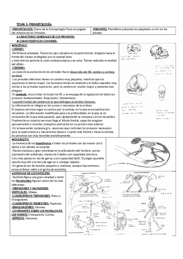Miniatura del documento ANTROP_5.pdf
