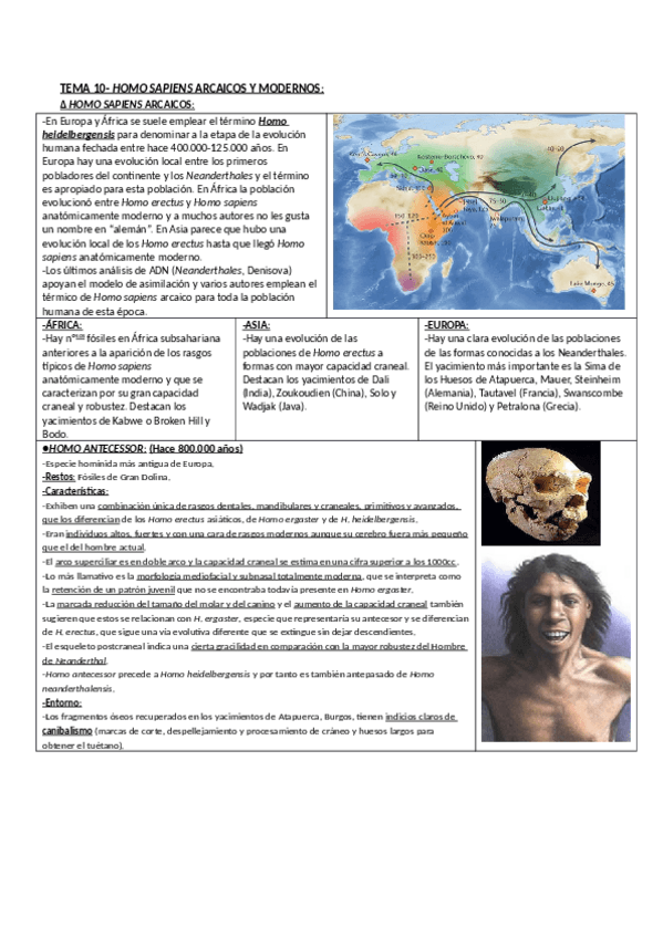 Miniatura del documento ANTROP_10.pdf