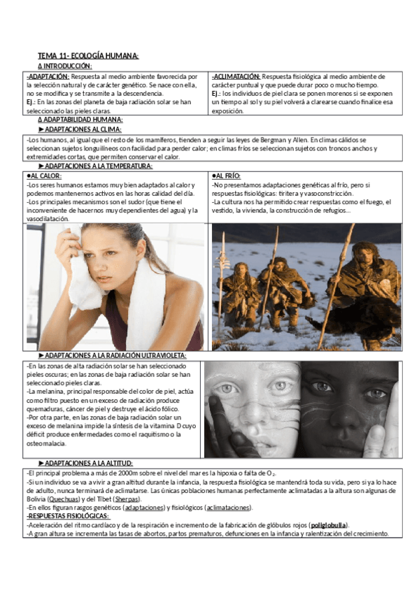 Miniatura del documento ANTROP_11.pdf