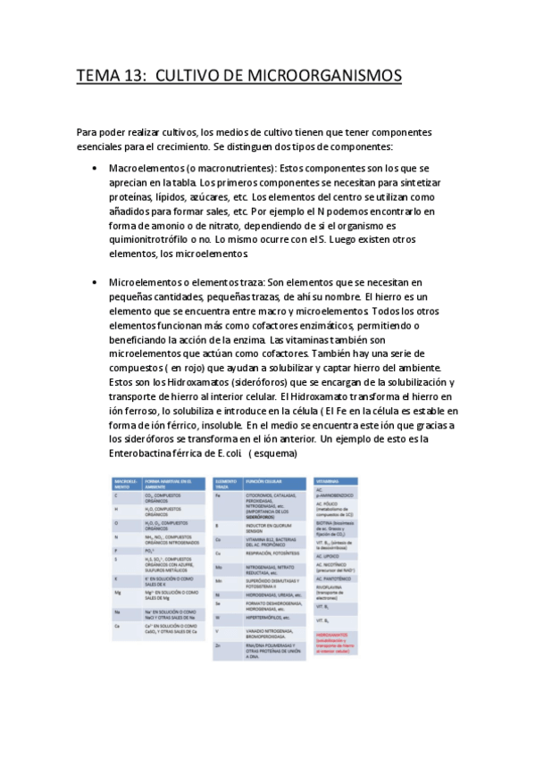 Miniatura del documento TEMA 13 micro.pdf