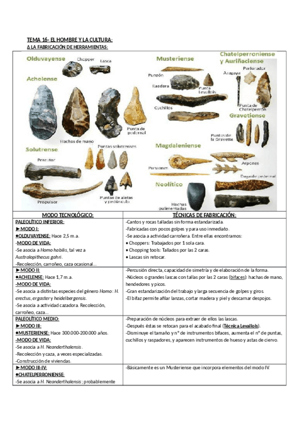 Miniatura del documento ANTROP_16.pdf