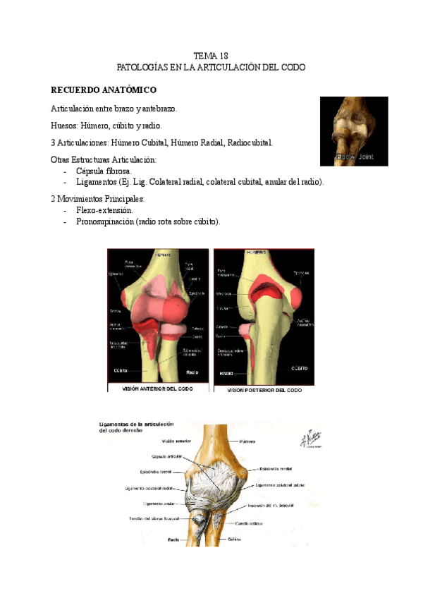 Miniatura del documento TEMA-18-LESIONES.pdf