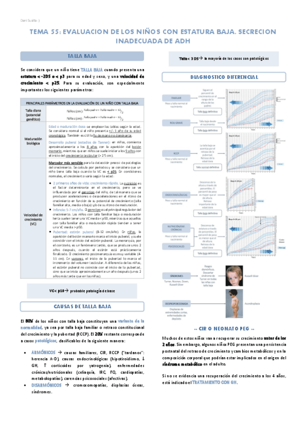Miniatura del documento Bloque-12-Sistema-endocrino.pdf