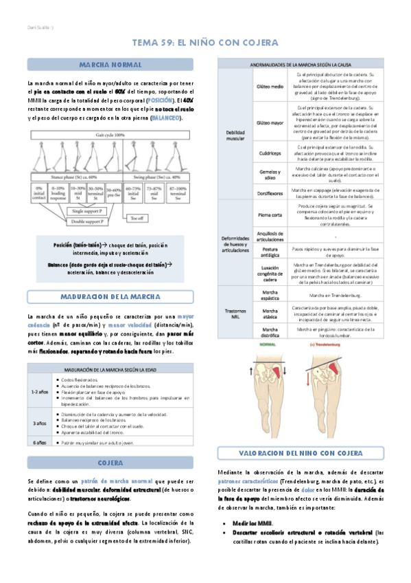 Miniatura del documento Bloque-13-Aparato-locomotor.pdf