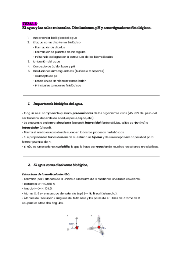 Miniatura del documento tema-3-bioq.pdf