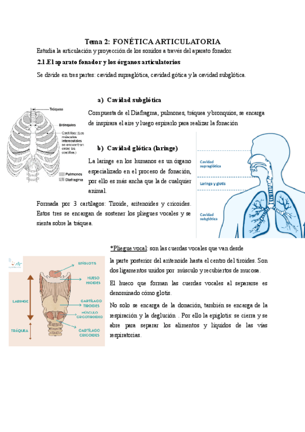 Miniatura del documento Tema-2-Fonetica-articulatoria.pdf