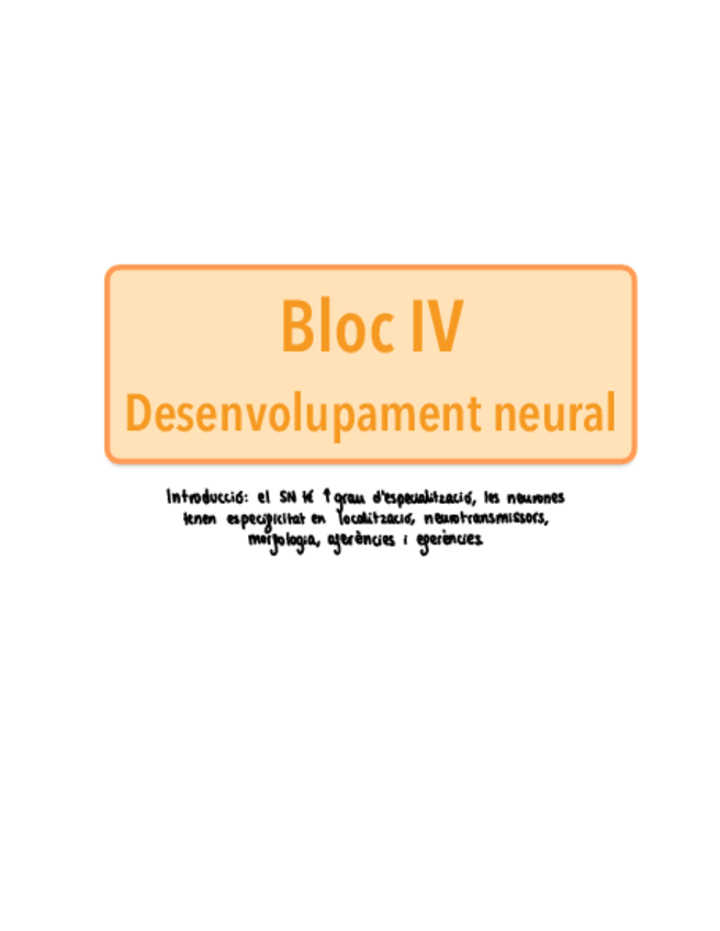 Miniatura del documento Bloc-IV.-Desenvolupament-neural.pdf