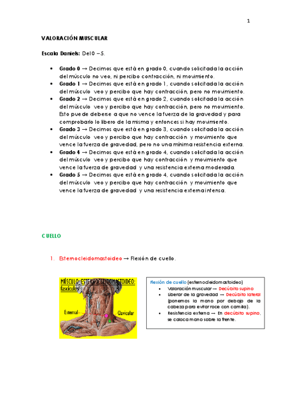 Miniatura del documento valoracion-muscular.pdf