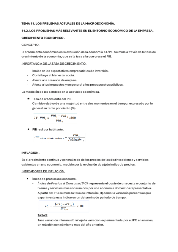Miniatura del documento TEMA-11-ECONOMIA..pdf