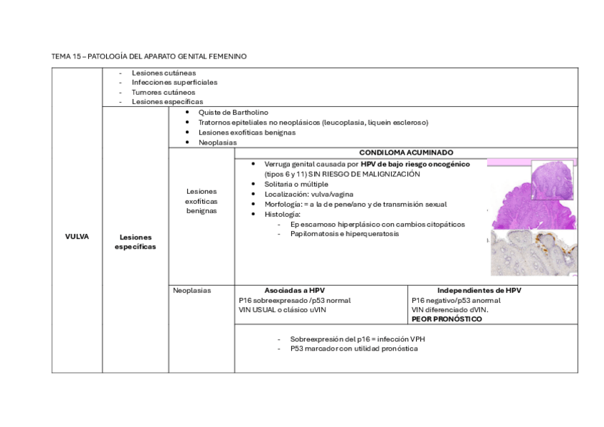 Miniatura del documento TABLA-15.pdf