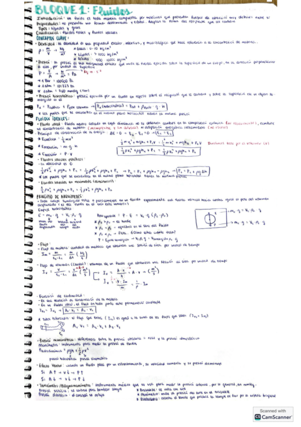 Miniatura del documento Apuntes-fisica.pdf