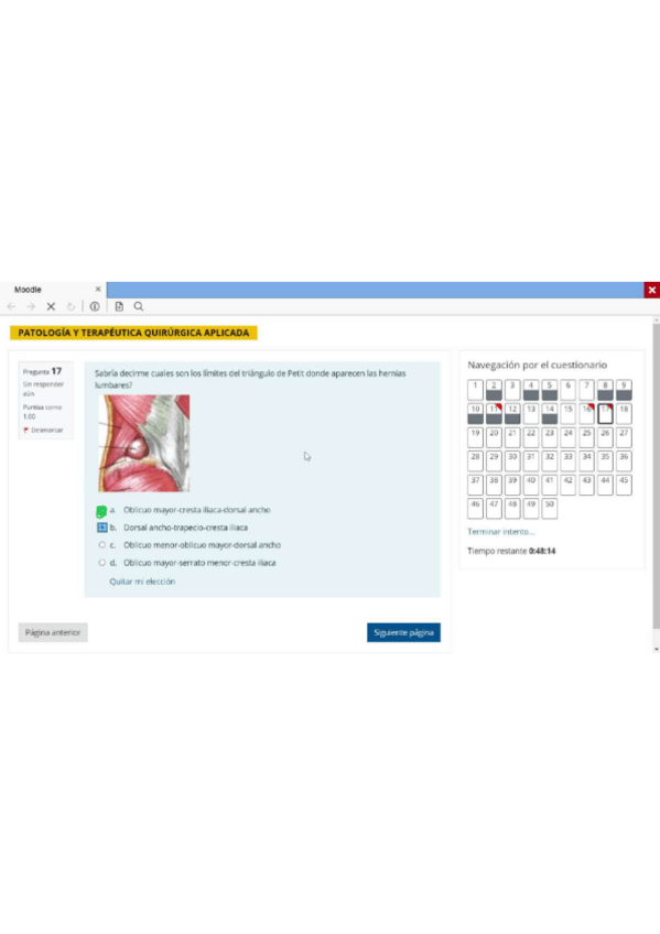 Miniatura del documento QUIRURGICA-S1-S2-2023.pdf
