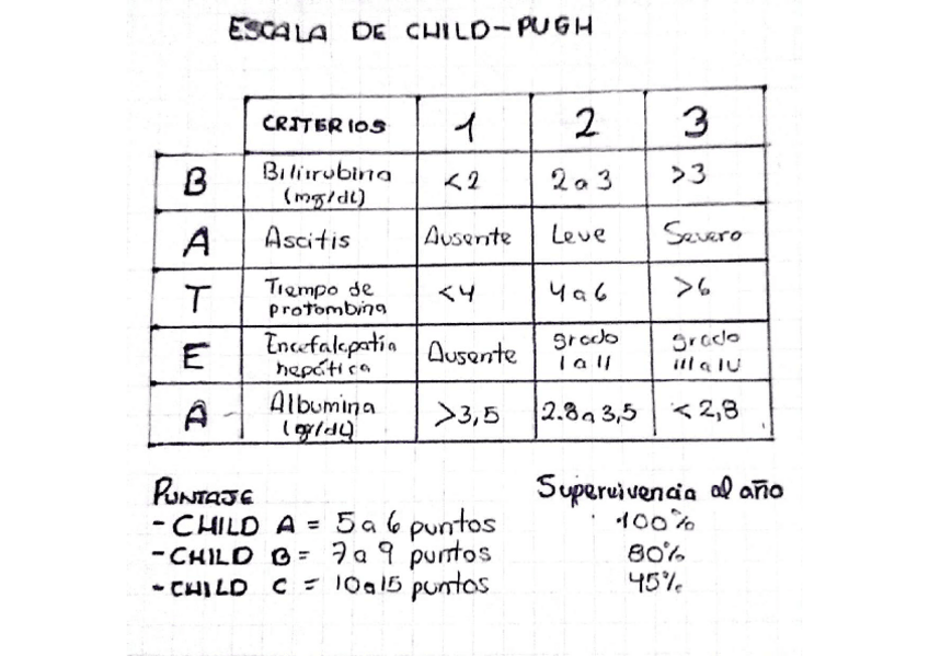 Miniatura del documento TABLA-DE-CHILD-PUGH-Y-HEPATITIS-VIRALES.pdf