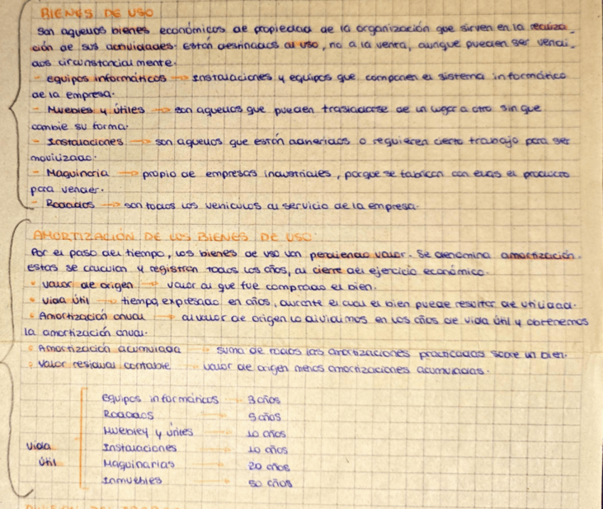 Miniatura del documento Bienes-de-uso-Amortizacion-factor-humano-y-tipos-de-integracion.pdf