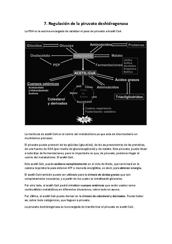 Miniatura del documento T7.-PDH.pdf
