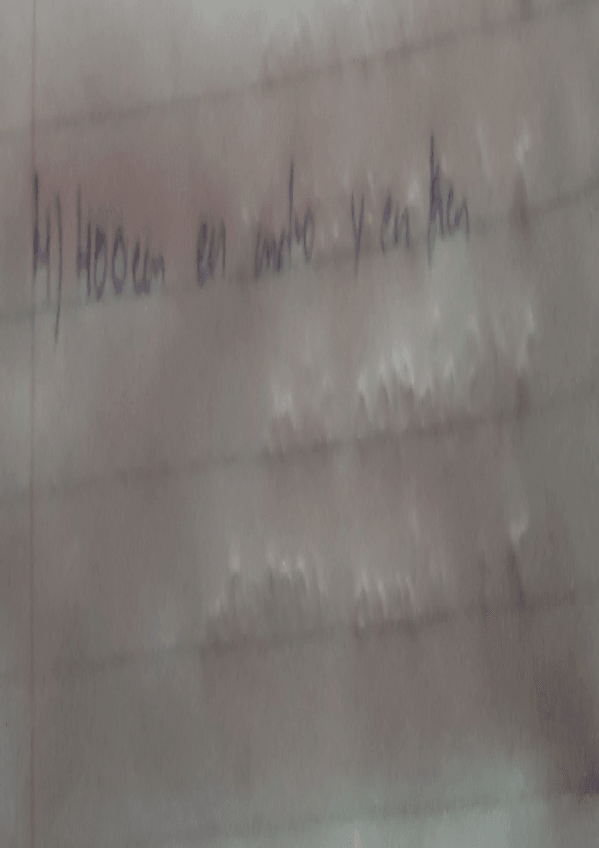 Miniatura del documento X.pdf