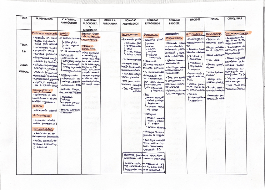 Miniatura del documento tabla-resumen-endocrino.pdf