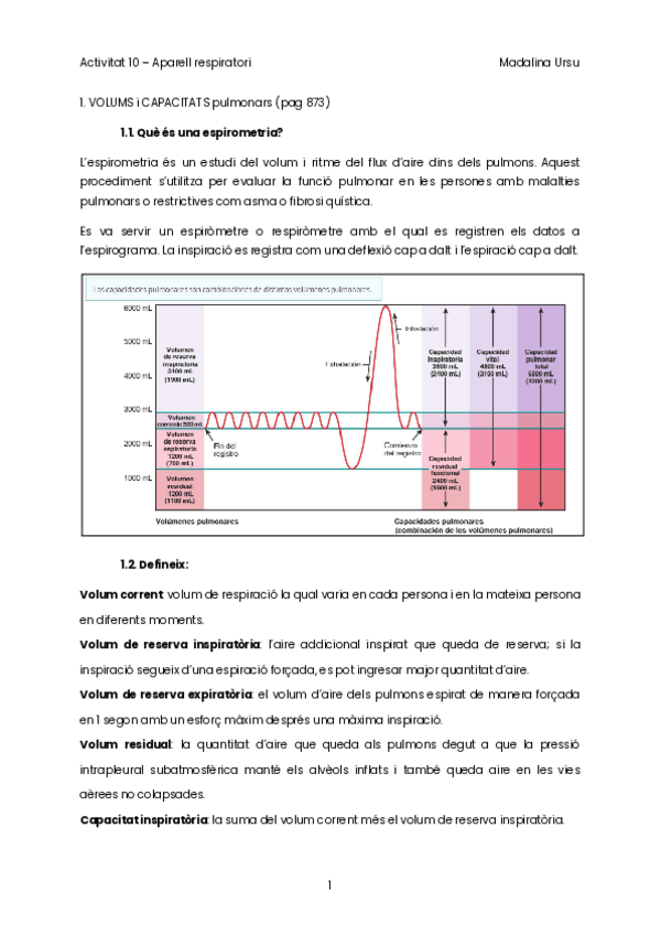 Miniatura del documento Activitat-10-Aparell-respiratori.-Madalina-Ursu.pdf