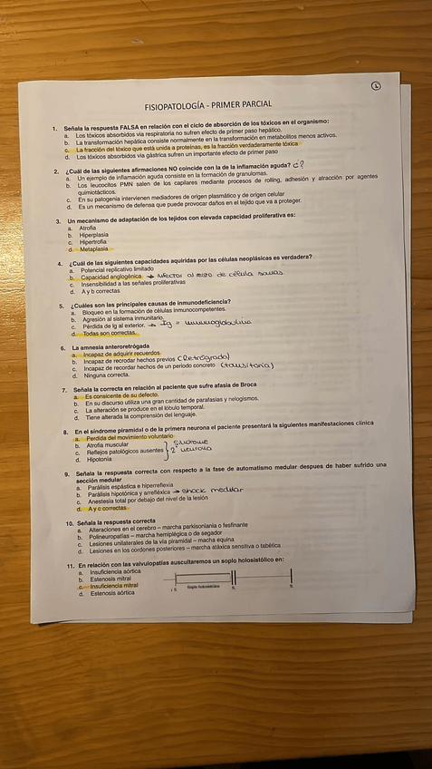 Miniatura del documento p1.jpg