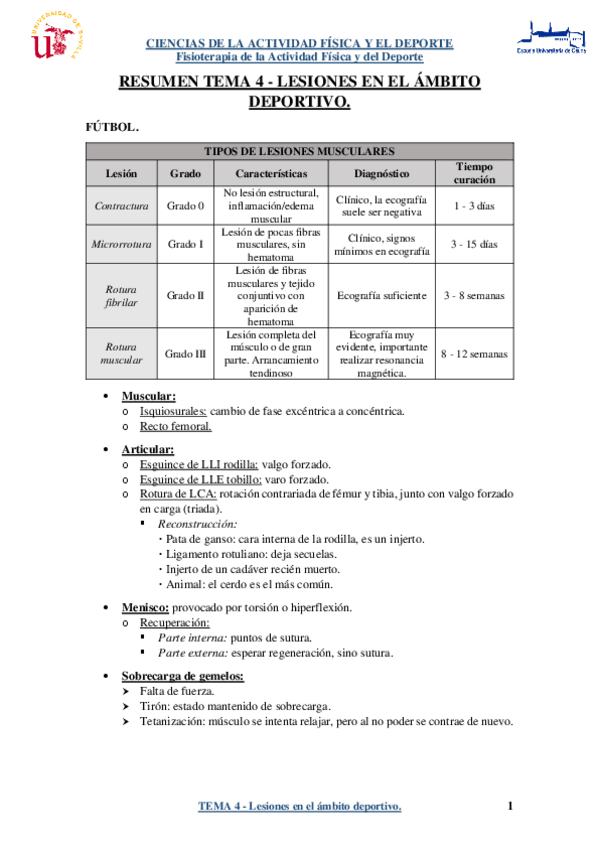 Miniatura del documento RESUMEN-TEMA-4-Lesiones-en-el-ambito-deportivo..pdf