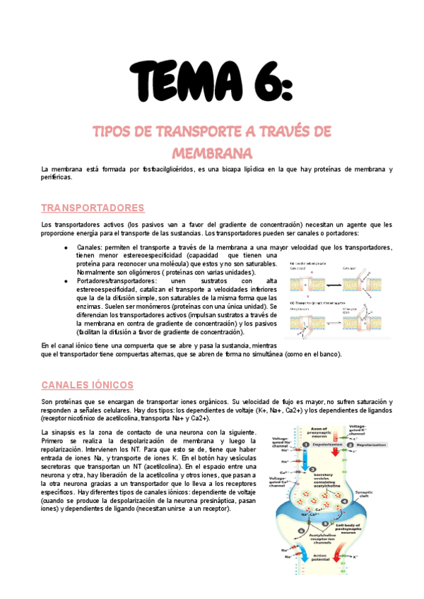 Miniatura del documento T6-Transporte-de-membrana.pdf