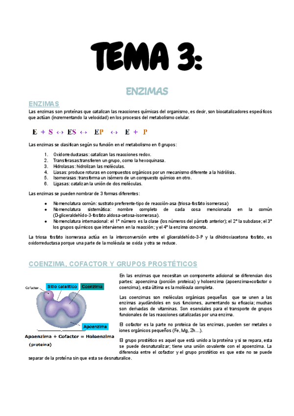 Miniatura del documento T3-Enzimas.pdf