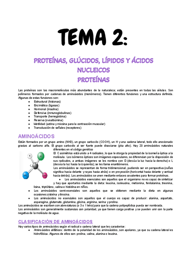 Miniatura del documento T2-Proteinas-glucidos-lipidos-y-acidos-nucleicos.pdf