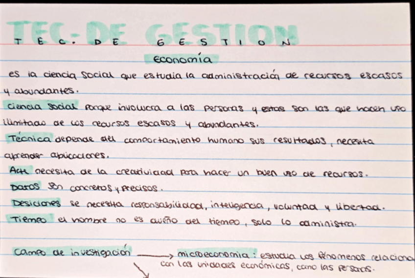 Miniatura del documento Economia-Recursos-y-Bienes-BASICO.pdf