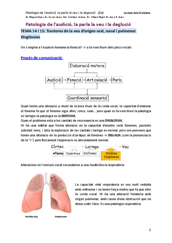 Miniatura del documento TEMA-14-15Patologia-de-laudicio-la-parla-la-veu-i-la-deglucio1.pdf