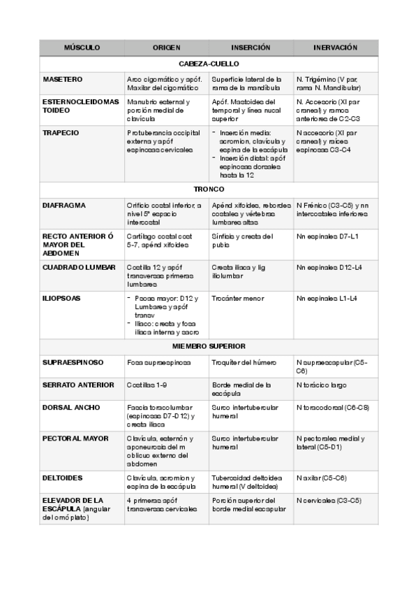 Miniatura del documento TABLA-MUSCULOS-origen-insercion-inervacion-ESENCIALES-EXAMEN.pdf