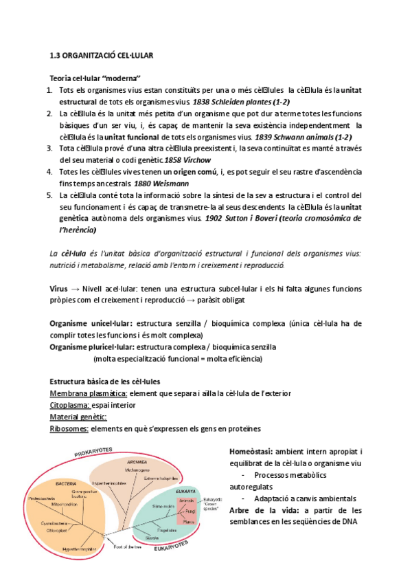 Miniatura del documento 1.3-ORGANITZACIO-CELLULAR.pdf