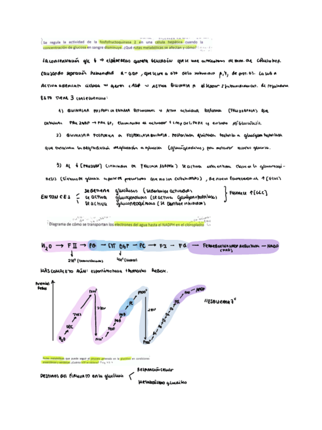 Miniatura del documento resuelto-preguntas-de-examenes.pdf
