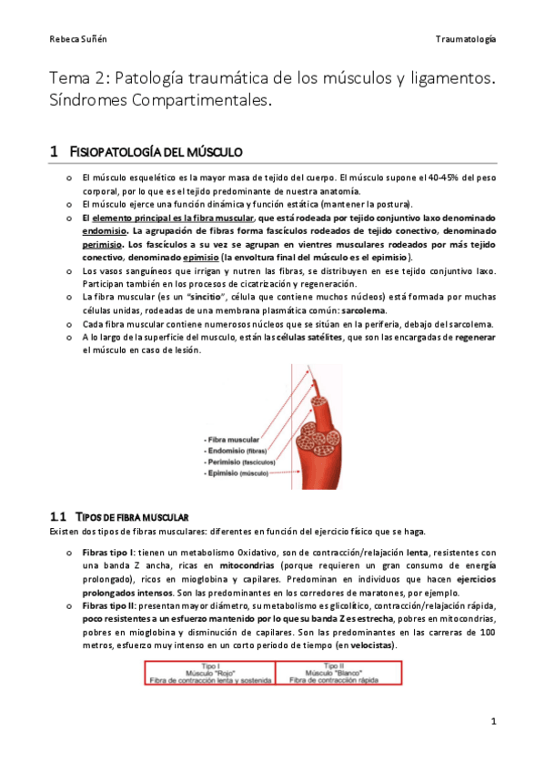 Miniatura del documento Tema-2-trauma.pdf