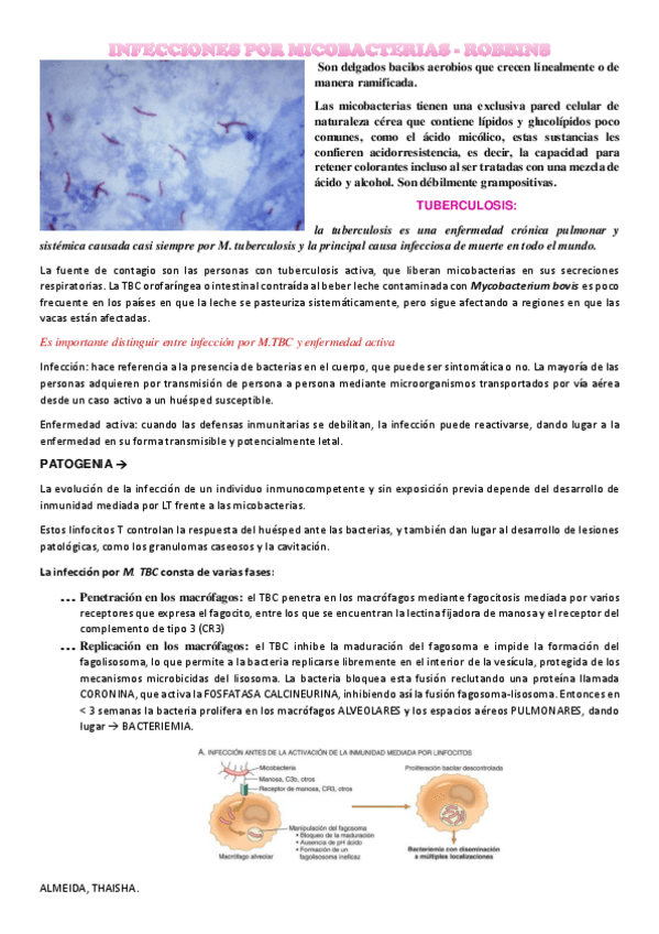 Miniatura del documento TBC-y-LEPRA-ROBBINS.pdf