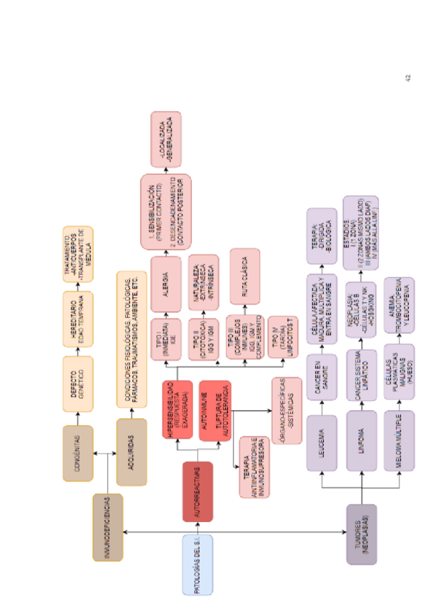 Miniatura del documento Mapa-conceptual-INMUNOLOGIA.pdf