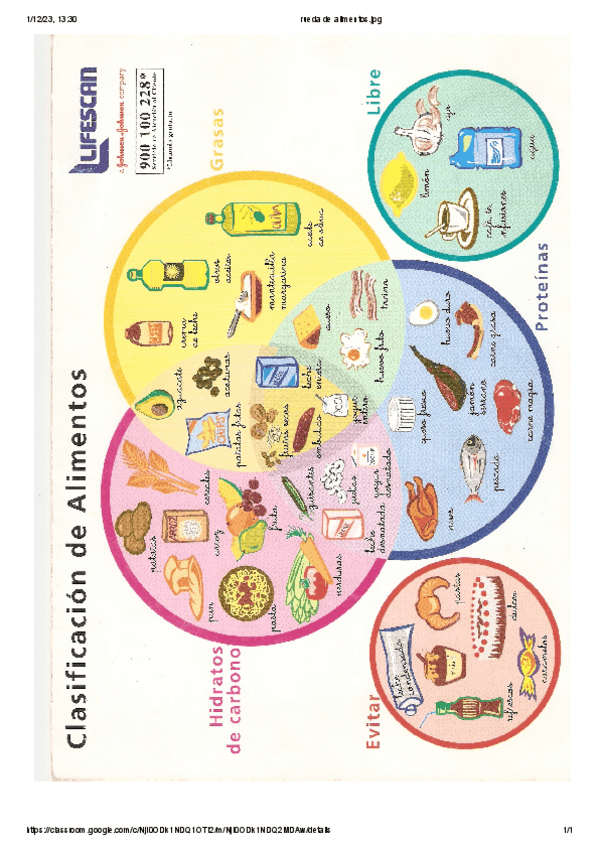 Miniatura del documento Rueda-de-alimentos.pdf