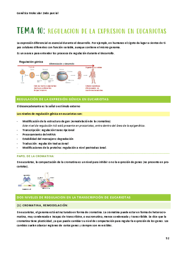 Miniatura del documento T-10-GM.pdf