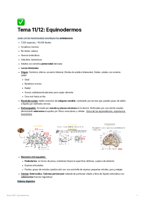 Miniatura del documento Temas-11-a-21.pdf