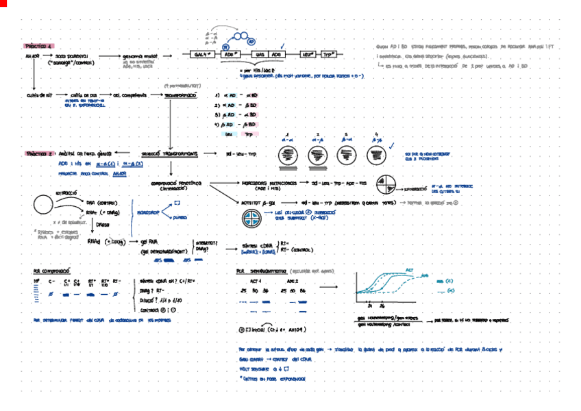 Miniatura del documento Esquema-PMGO-practiques.pdf