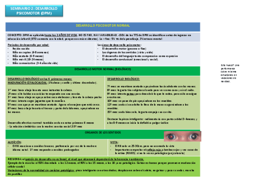 Miniatura del documento Seminario 2 desarrollo psicomotor- discapacidad, TDH.pdf