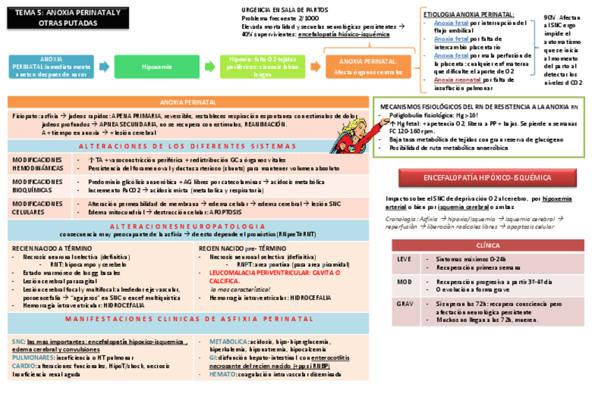 Miniatura del documento tema 5 Anoxia perinatal.pdf