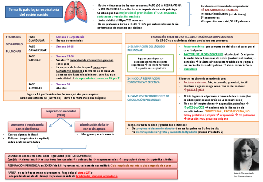 Miniatura del documento tema 6 patología respiratoria del recién nacido.pdf