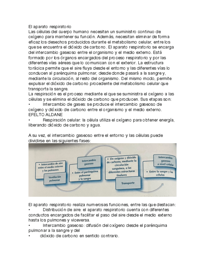 Miniatura del documento El-aparato-respiratorio.pdf
