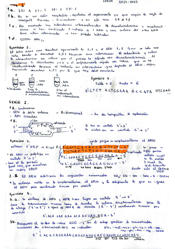 Miniatura del documento serie-uno-y-dos.pdf
