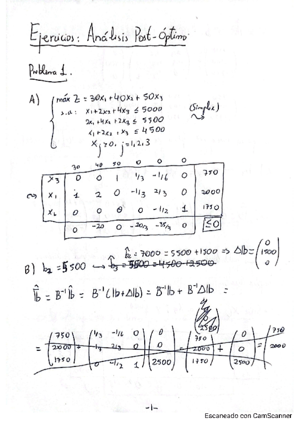 Miniatura del documento EjerciciosPostOptimo.pdf