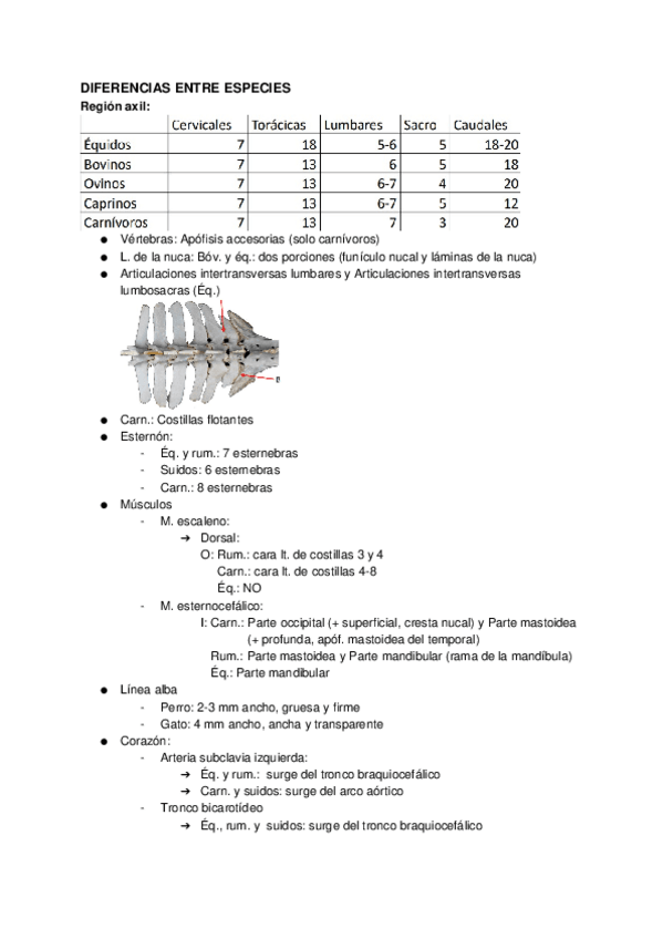 Miniatura del documento DIFERENCIAS-ENTRE-ESPECIES.docx
