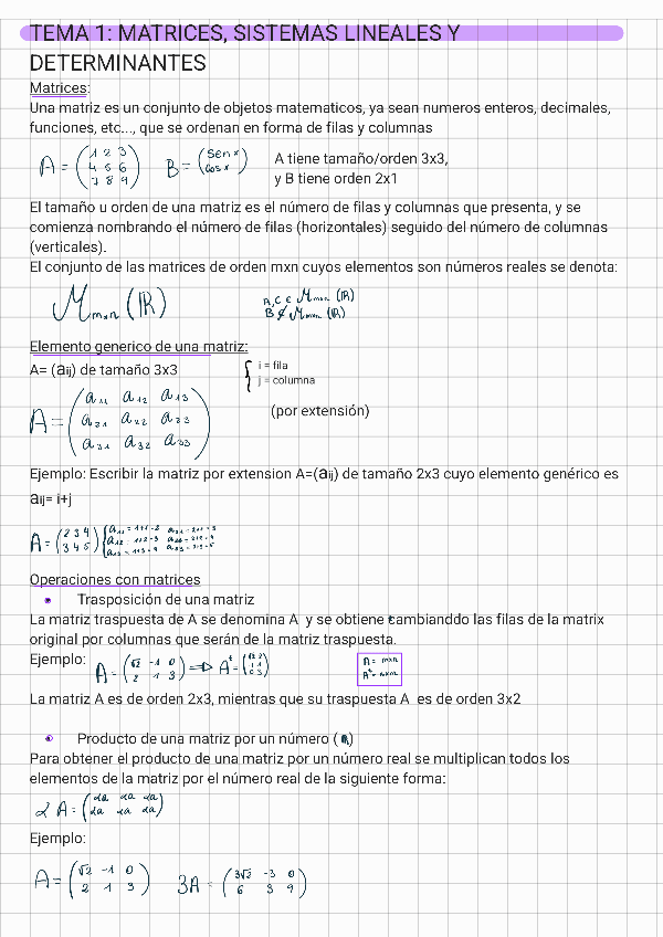 Miniatura del documento Tema-1-Matrices-sistemas-lineales-y-determinante250111110609.pdf