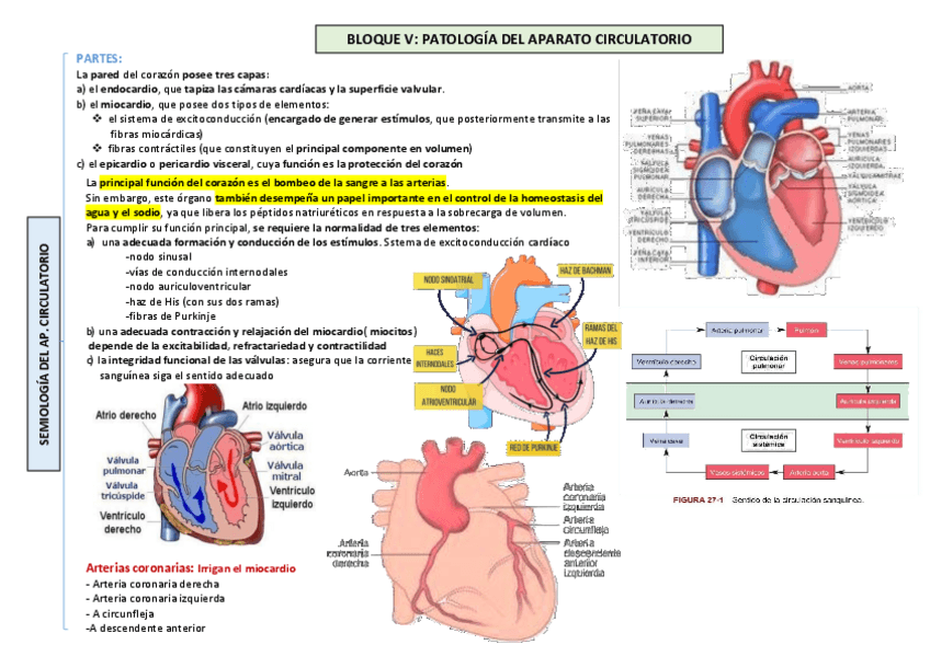 Miniatura del documento BLOQUE-5.pdf