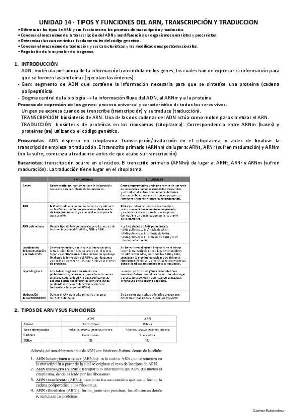 Miniatura del documento 14-Tipos-y-funciones-del-ARN-transcripcion-y-traduccion.pdf